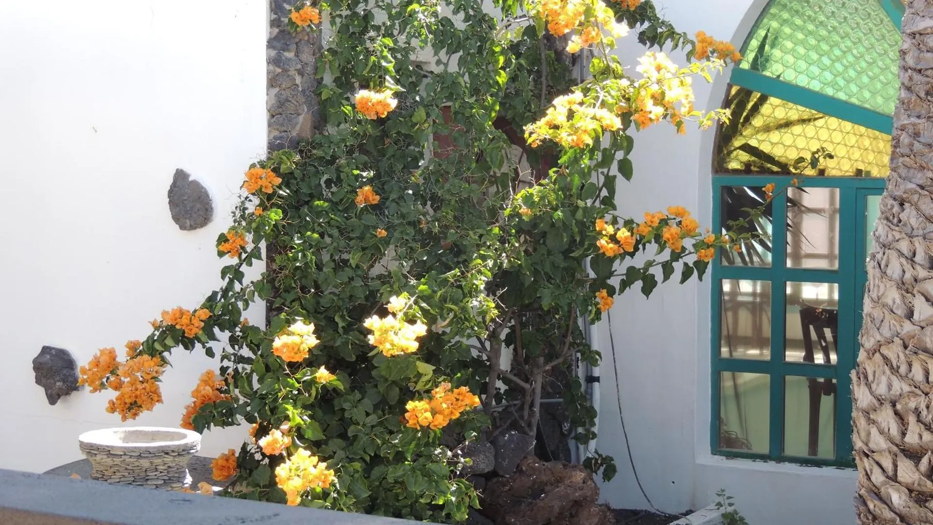 Casa vacanze Villa Sol Charco del Palo Spagna